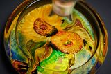 Mazzetti Decant&#039;art Vincent Van Gogh - Grappa di Barbaresco 0.70L