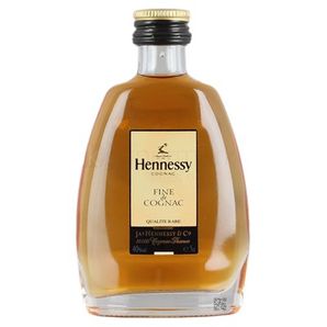 Mini Hennessy Fine de Cognac 0.05L