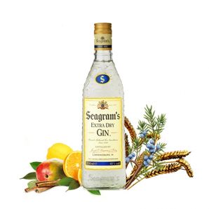 Seagram´s Extra Dry Gin 0.70L